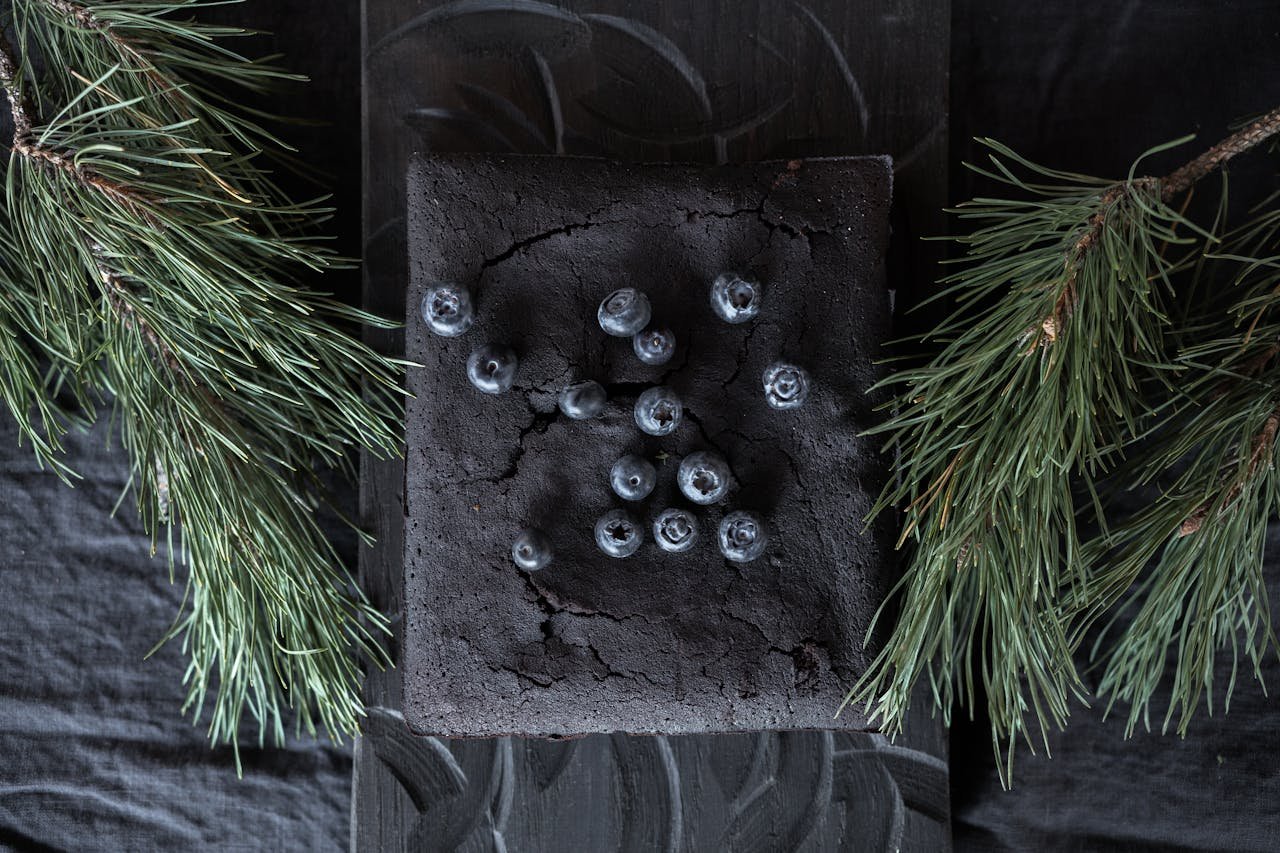 A stylish still life of a dark chocolate cake topped with blueberries, surrounded by pine twigs.